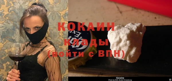 крисы Алексин