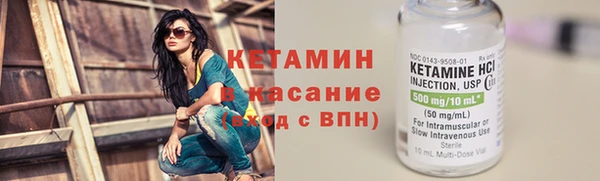 крисы Алексин