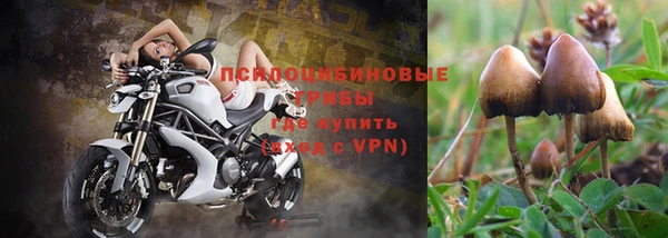 скорость mdpv Алексеевка
